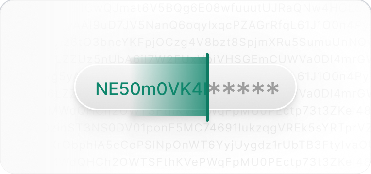 A password turning into encrypted characters